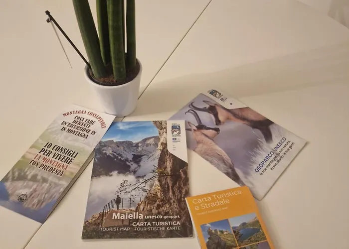 Vagabondando Travel House